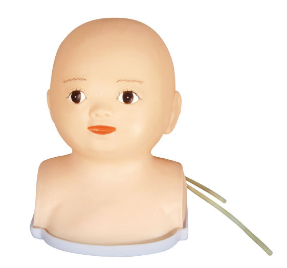 Advanced Infant Head Synthetic Pediatric Simulation Manikin for Medical Schools